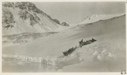 Image of Sledging on snowbank on ice foot